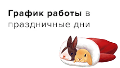 График работы в праздничные дни
