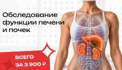 Обследование функции печени и почек
