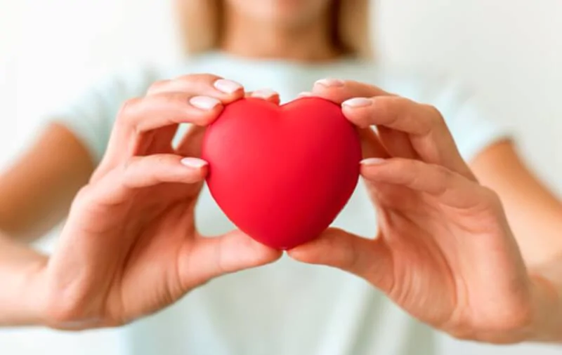 Как проверить сердце на здоровье. Фото